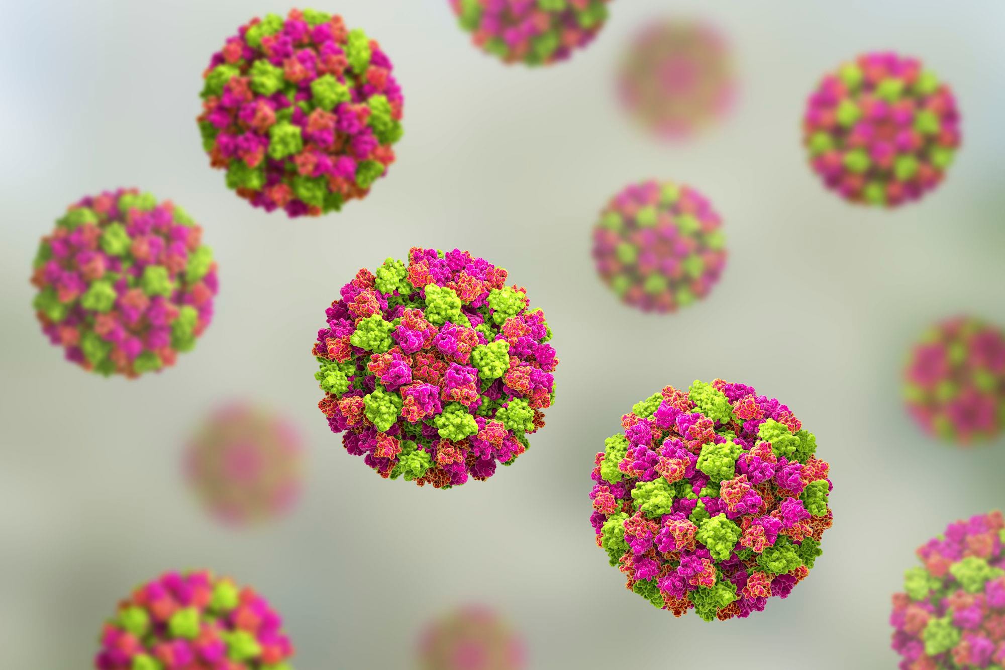 Microscopic image of norovirus particles. They look like lovely pomanders of neon succulents.